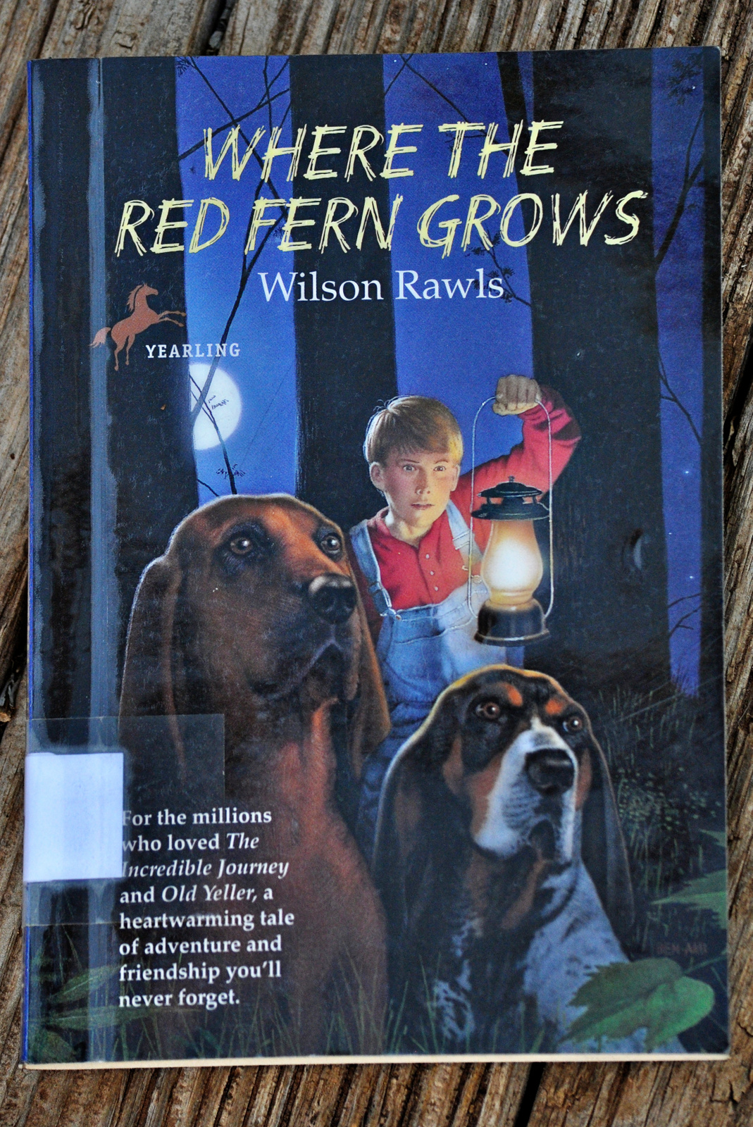 where the red fern grows book author