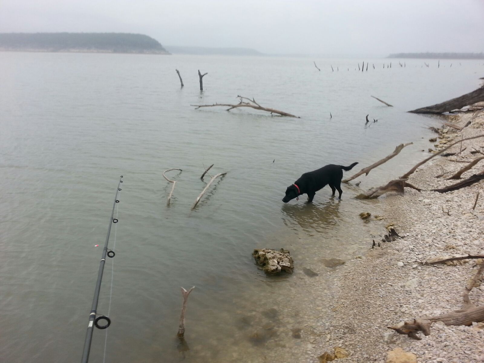 Crappie Fishing w/Lab – Belton Lake, TX