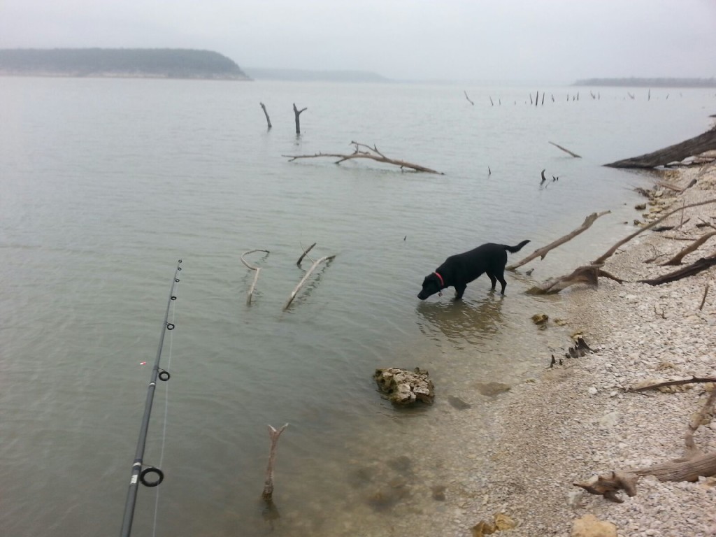 Belton Lake Crappie fishing