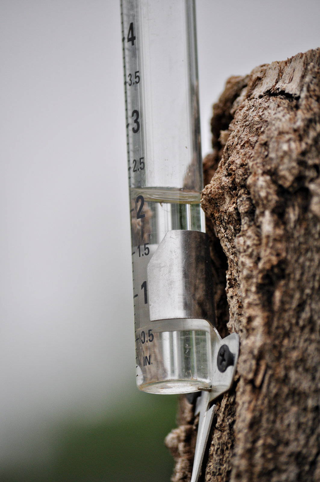 Rain gauge