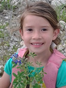 Texas Bluebonnets