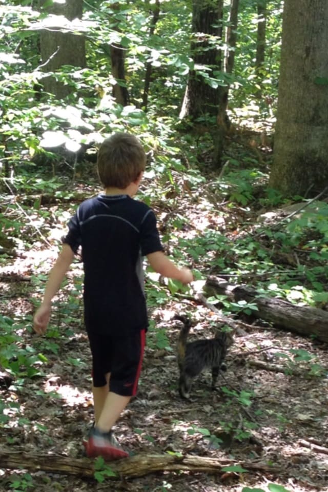 Exploring with Cat and Mom – Bluefield, WV